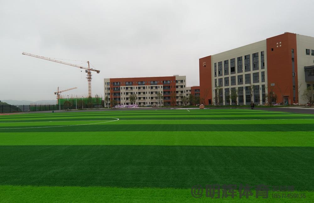 泸州人造草坪足球场